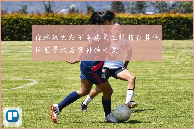 森林狼决定不考虑莫兰特将在其他位置寻找后场补强方案