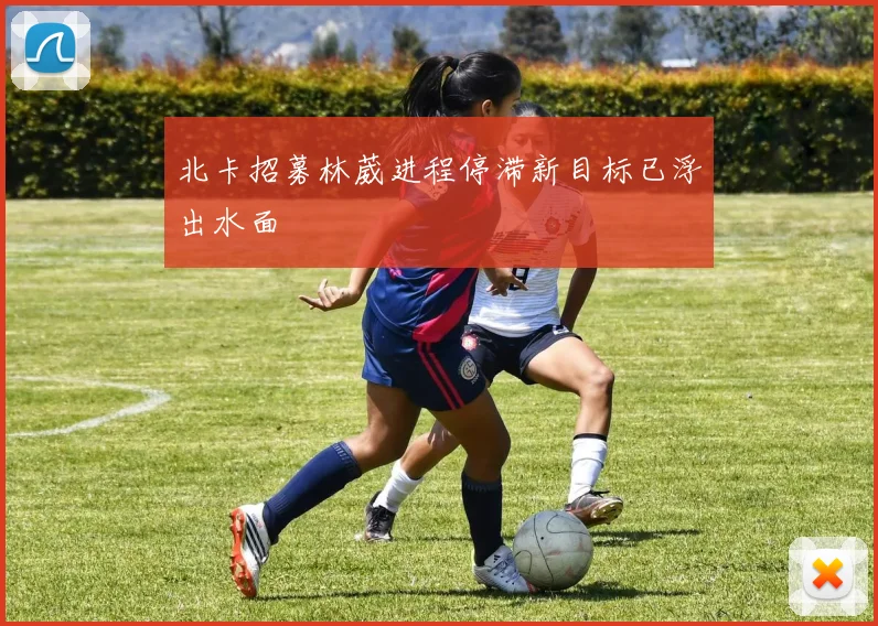 北卡招募林葳进程停滞新目标已浮出水面